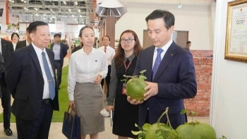 Đang diễn ra Ngày hội mua sắm không dùng tiền mặt tại Bình Dương