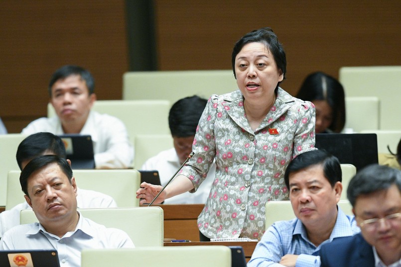 Đại biểu Phạm Khánh Phong Lan - Đoàn ĐBQH TP. Hồ Chí Minh