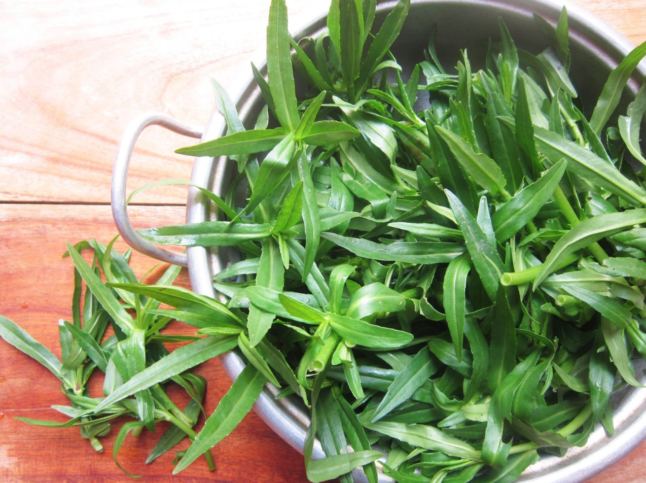 Rau ngổ - thần dược tốt cho sức khỏe ít ai biết đến Rau ngổ - thần dược tốt cho sức khỏe ít ai biết đến