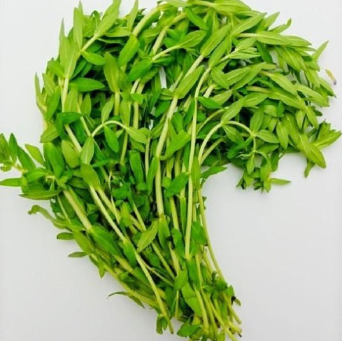 Rau ngổ - thần dược tốt cho sức khỏe ít ai biết đến Rau ngổ - thần dược tốt cho sức khỏe ít ai biết đến