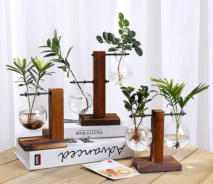 Chọn bình cổ dài để nâng đỡ thân cây cảnh.