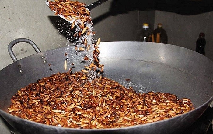 Hạt bàng được rang thơm sau đó tẩm cùng gia vị Hạt bàng được rang thơm sau đó tẩm cùng gia vị