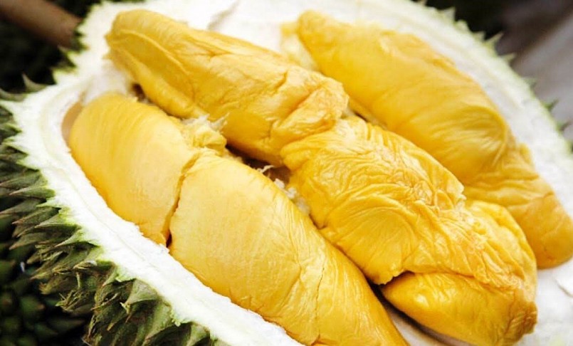 sầu riêng Musang King 