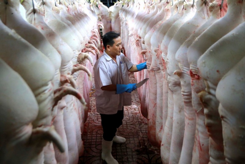 Thị trường thịt heo trong nước đã bão hòa, tiêu thụ chậm.