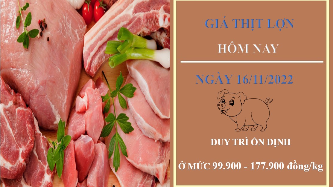 Giá thịt heo hôm nay 16/11/2022: Đứng yên toàn thị trường