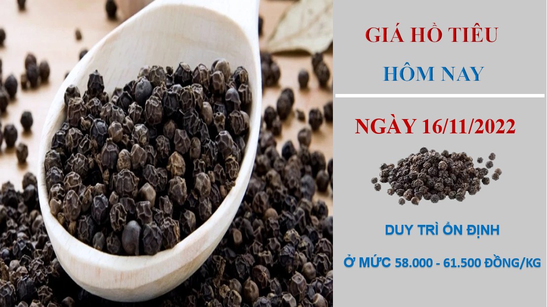 Giá hồ tiêu hôm nay 16/11/2022: Đứng yên tại các địa phương