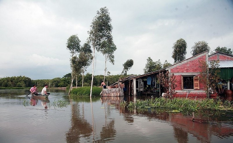Căn nhà ở xã Tân Lập, H.Mộc Hóa, tỉnh Long An ngập giữa nước lũ. Chòm xóm có việc đến nhà nhau thay vì đi xe máy hoặc cuốc bộ như thông thường, giờ đây phải giong xuồng. Chủ nhà đang làm việc sau bếp, tiếp chuyện hai người hàng xóm đi thăm đồng ghé ngang qua.