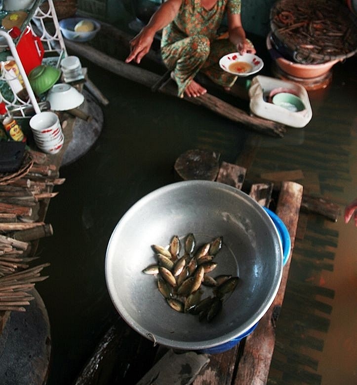 Mớ cá linh tươi rói từ dưới sông vừa lên, bên cạnh rổ bông điên điển cũng mới hái ngoài đồng nước về. Bộ đôi “song kiếm hợp bích” này làm nên món lẩu cá linh bông điên điển nức tiếng, không thể thiếu trong mùa nước lớn ở Đồng bằng sông Cửu Long.