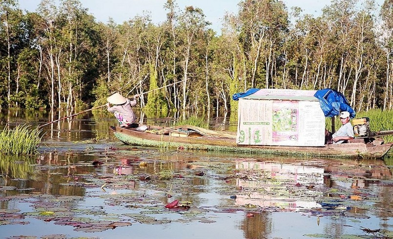 Đôi vợ chồng chèo xuồng đi hái bông súng. Cứ nước lên đến đâu, bông súng lại vươn cao lên đến đó nên cọng dài hàng mét. Bông súng là một trong nhiều đặc sản được thiên nhiên ưu đãi cho miền Tây mùa nước nổi. Nguyên liệu này đi vào nhiều món đặc thù như canh chua, mắm kho, gỏi…, giúp người địa phương thêm thu nhập mà gần như không bỏ vốn, chỉ tốn công đi hái.