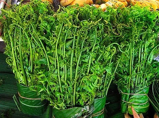 Rau dầm tang – thứ rau được coi như là một món quà thiên nhiên ban tặng