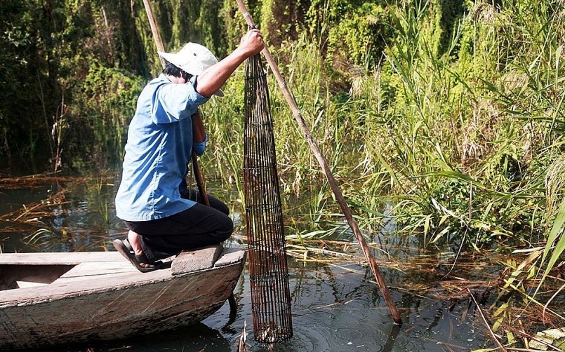 Mùa lũ cũng là quãng thời gian người dân nơi đây đi dỡ chà bắt chuột đồng. Chà là cách thức dùng cây, chủ yếu là cây ớt, chất đống trên đồng, rải lúa, bắp để dụ chuột chui vô. Sau khoảng chục ngày, người dân dỡ chà một lần, số chuột thu được có khi đến hàng chục ký.