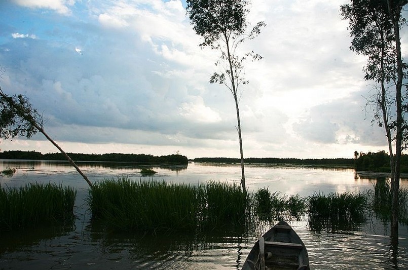 Trời nước mênh mông ở khu vực trung tâm Đồng Tháp Mười mùa nước nổi. Hơn một nửa diện tích của vùng đất ngập nước này nằm trên địa phận tỉnh Long An, phần còn lại thuộc địa bàn tỉnh Đồng Tháp, Tiền Giang.