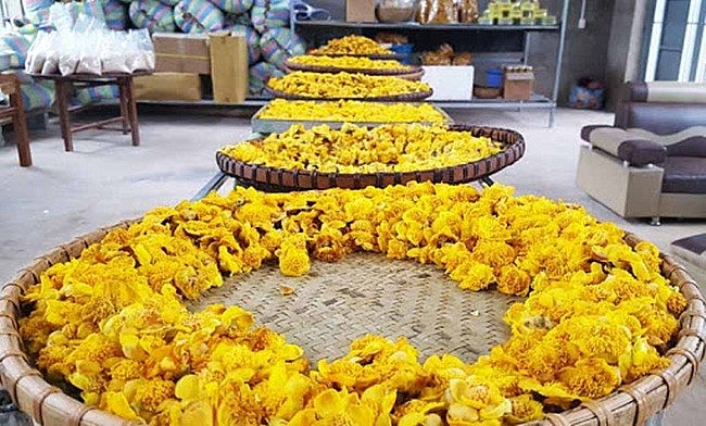Trà hoa vàng sấy khô Trà hoa vàng sấy khô