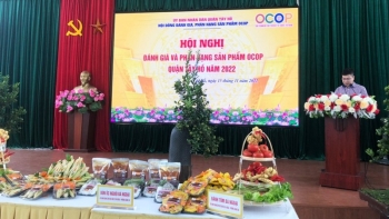 Đánh giá, phân hạng sản phẩm OCOP quận Tây Hồ năm 2022