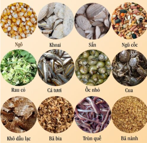 Thức ăn chăn nuôi tự nhiên Thức ăn chăn nuôi tự nhiên