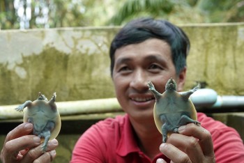 Nuôi con mỗi ngày chỉ ăn một bữa, anh trai miền Tây thu lãi 800 triệu đồng mỗi năm