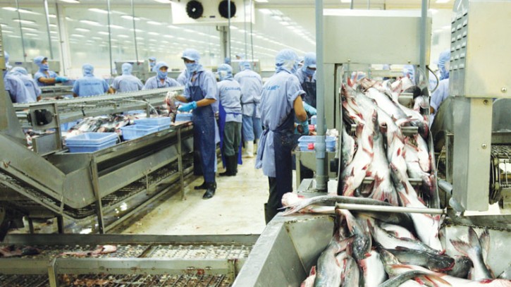 Vì sao xuất khẩu cá tra tăng trưởng chậm lại?