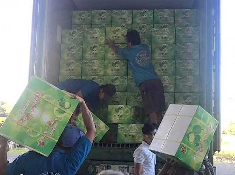 Sầu riêng tươi Việt Nam lên đường xuất ngoại. Sầu riêng tươi Việt Nam lên đường xuất ngoại.