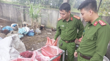 Hà Tĩnh: Phát hiện 29 bao tải đựng mỡ động vật đã được sơ chế