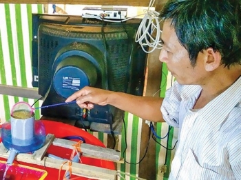 Anh nông dân miền Tây “bắt" trứng lươn nở thành con để thoát nghèo