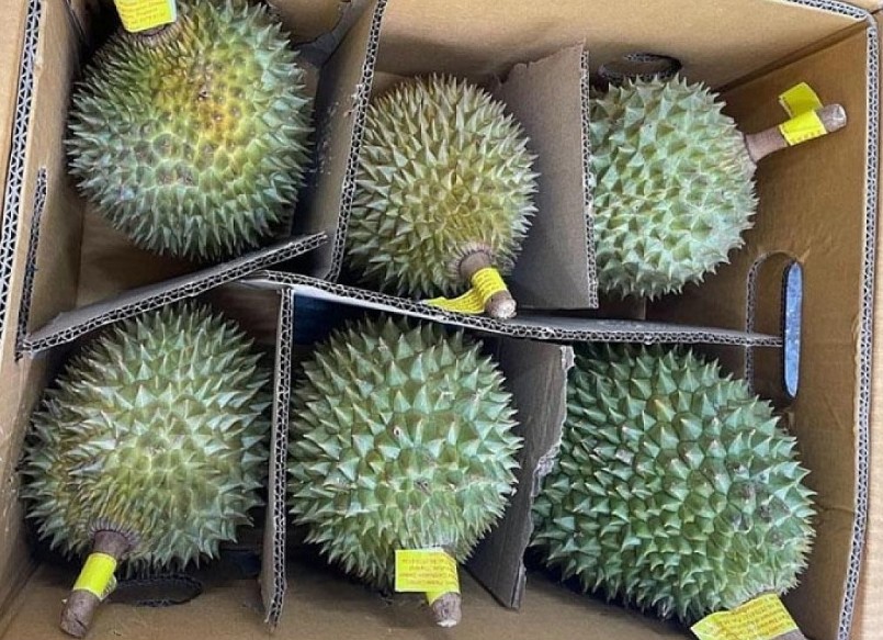 Thái Lan là nước xuất khẩu sầu riêng hàng đầu thế giới. Thái Lan là nước xuất khẩu sầu riêng hàng đầu thế giới.