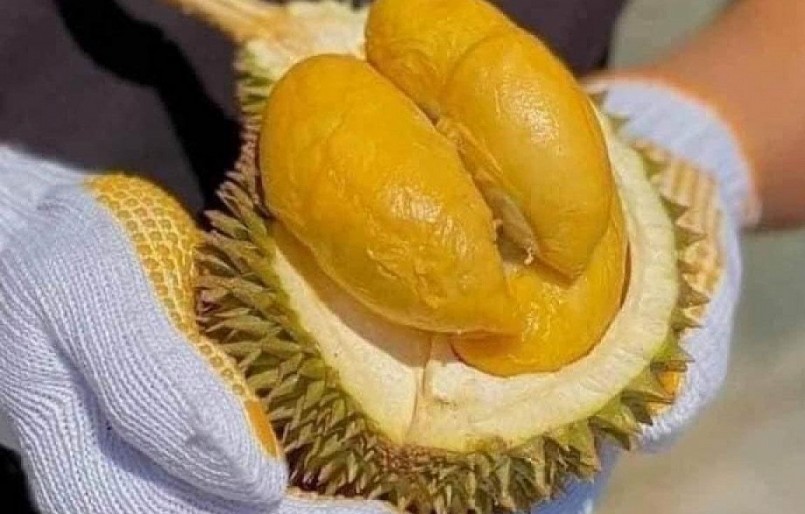 Nhu cầu mua sầu riêng Thái Lan tăng mạnh trong thời gian qua. Nhu cầu mua sầu riêng Thái Lan tăng mạnh trong thời gian qua.