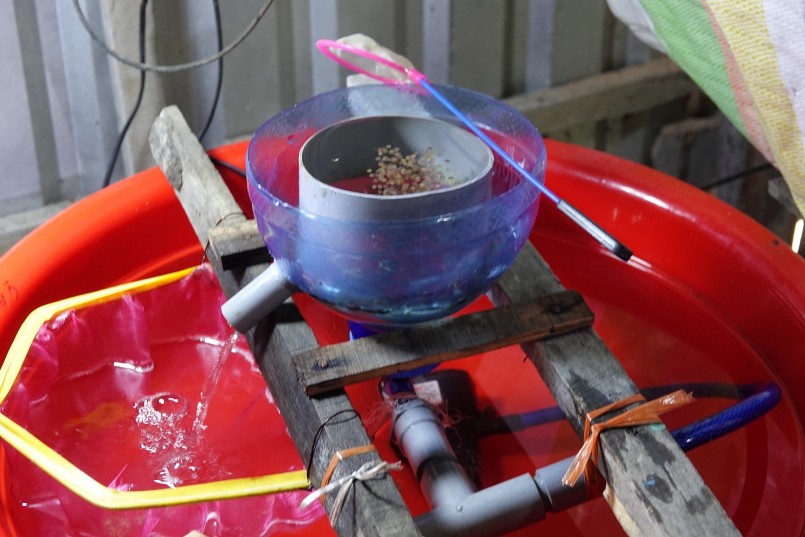 Máy ấp trứng lương do anh Tuấn chế tạo, tỷ lệ trửng nở đạt trên 90% Máy ấp trứng lương do anh Tuấn chế tạo, tỷ lệ trửng nở đạt trên 90%