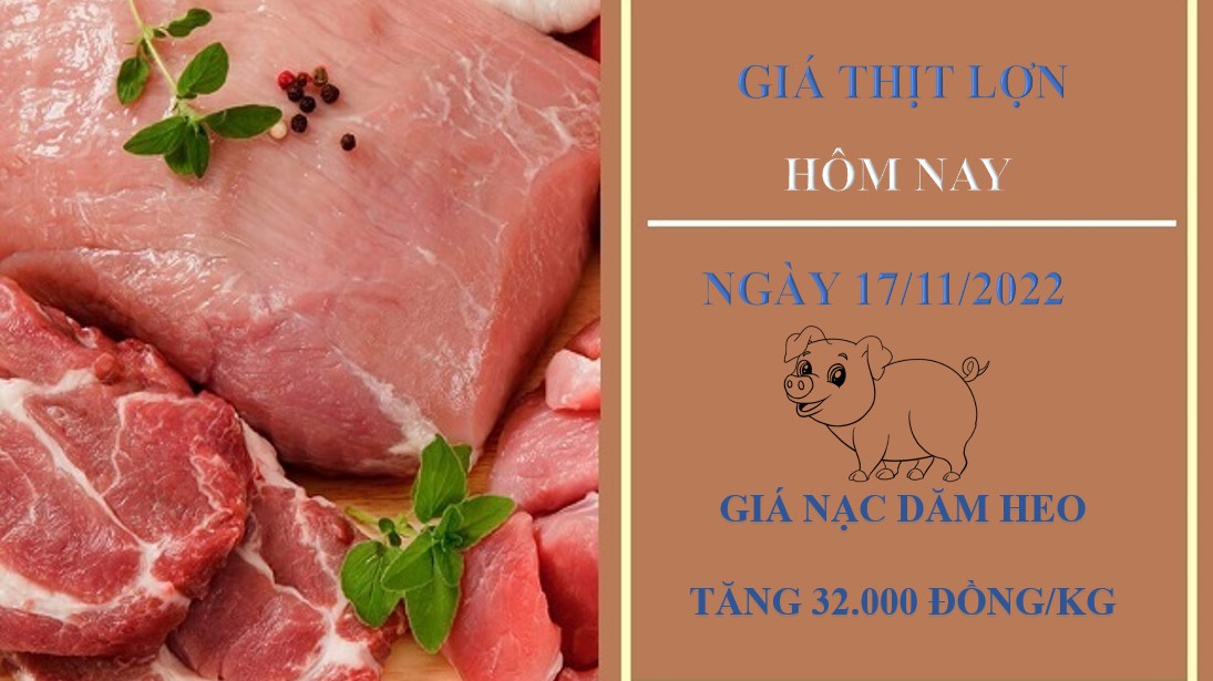 Giá thịt heo hôm nay 17/11/2022: WinMart điều chỉnh tăng đối với nạc dăm heo
