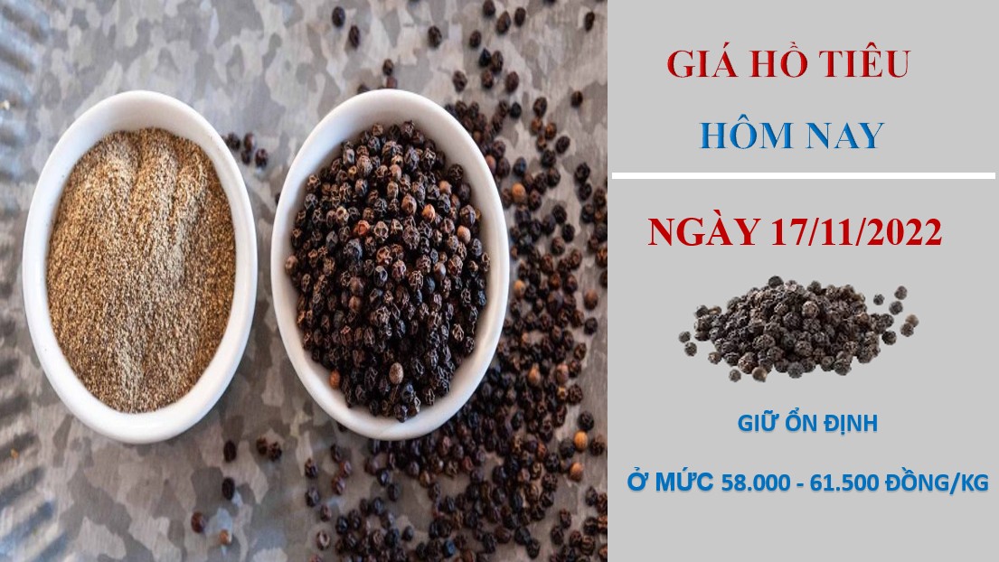 Giá hồ tiêu hôm nay 17/11/2022: Đứng Yên phiên thứ 4 liên tiếp