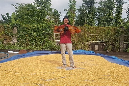 trọng lượng trung bình 3,5kg/con, giá bán tại các nhà hàng khoảng 220.000đ/kg