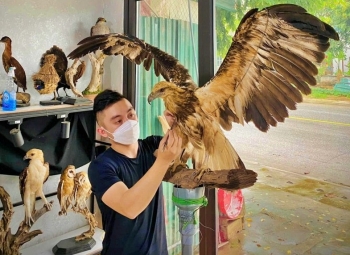 "Hồi sinh" xác thú cưng, chàng trai 9x kiếm bộn tiền