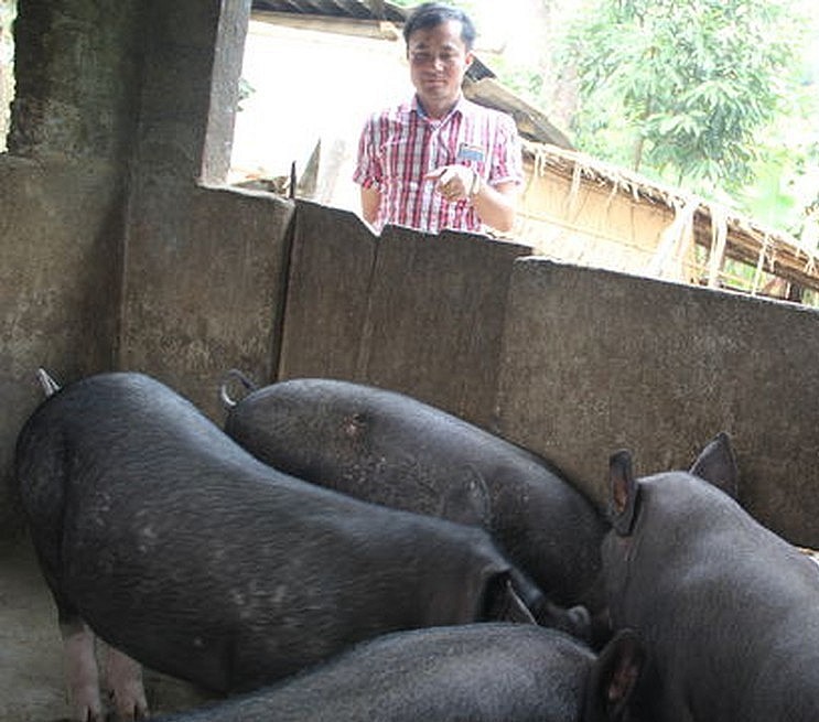 Thầy Hồ Đức Toàn khoe thành quả chăn nuôi của tập thể giáo viên Trường THCS dân tộc bán trú Tri Lễ. Ảnh: Xuân Hòa