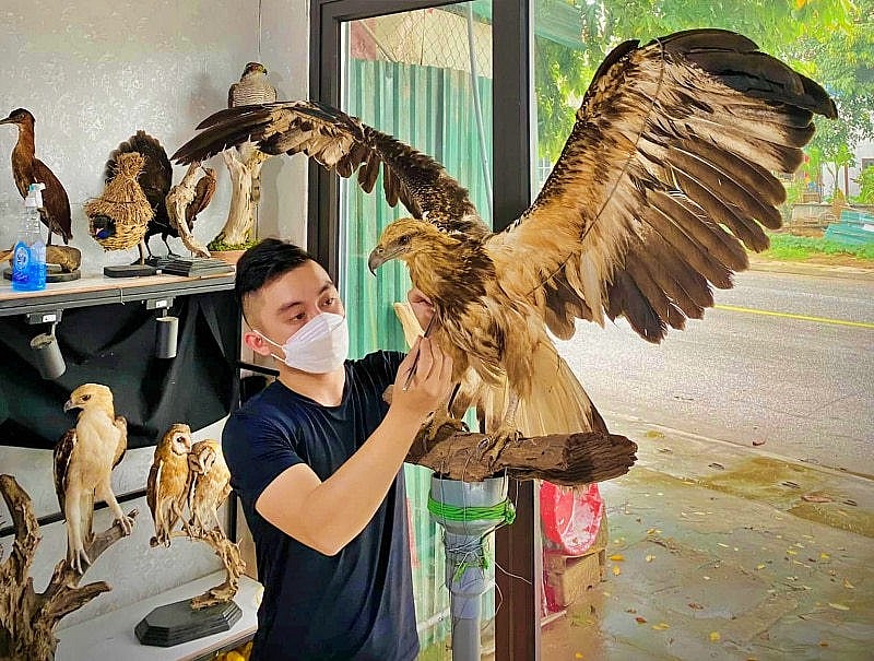 nhiều người tìm đến thuê anh làm tiêu bản cho thú cưng đã chết của mình