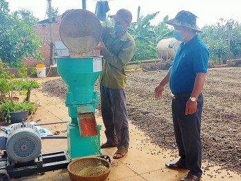 Những nguyên tắc vàng trong phối trộn thức ăn chăn nuôi