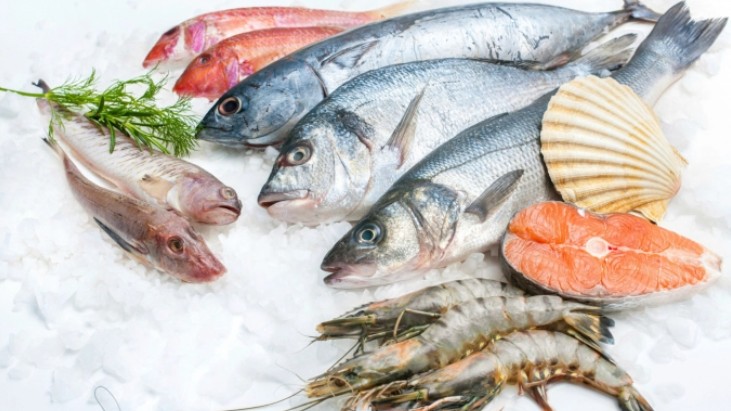 Nhập khẩu thủy sản nhiều nhất từ Ấn Độ