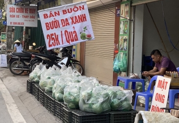 Lý do gì khiến giá bưởi ngày càng rẻ