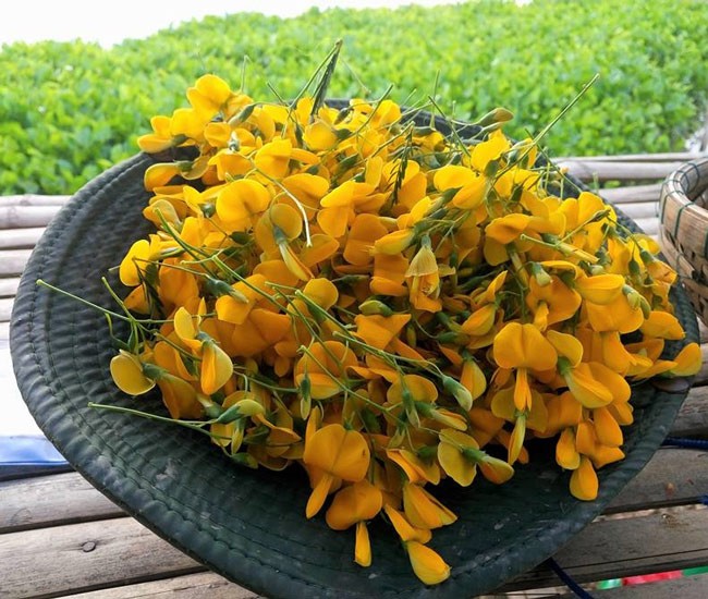 Xưa là hoa mọc bờ ranh nay “lên đời” thành đặc sản ngon nức tiếng miền Tây