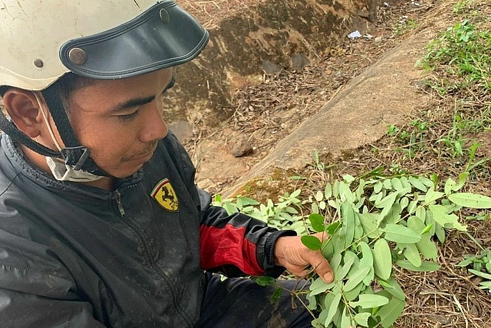 Đây là một trong những món ăn ưa thích của người Êđê.