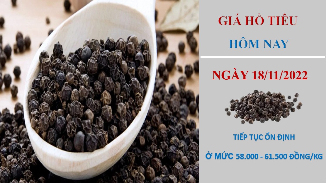 Giá hồ tiêu hôm nay 18/11/2022: Nối tiếp chuỗi ngày ổn định