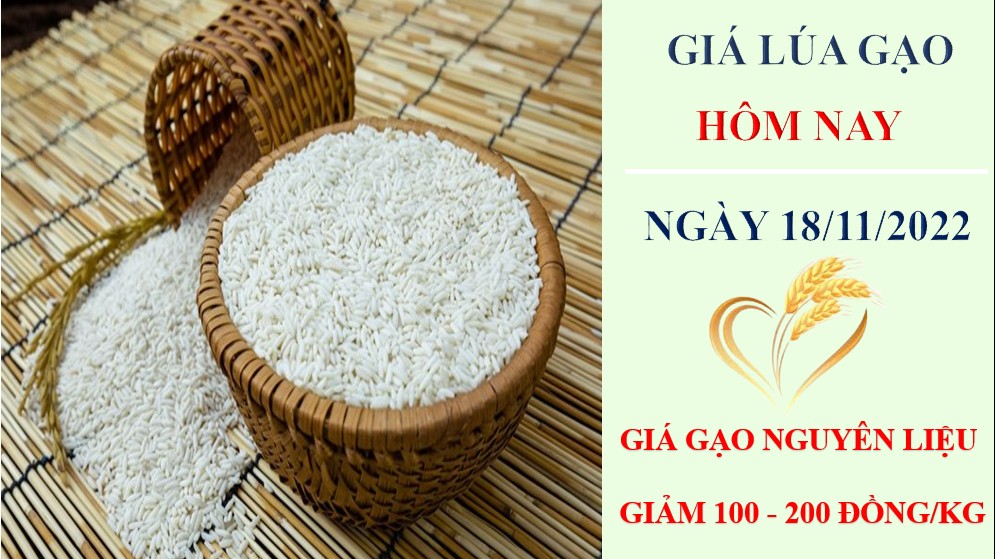 Giá lúa gạo hôm nay 18/11/2022: Giá gạo tiếp tục điều chỉnh giảm