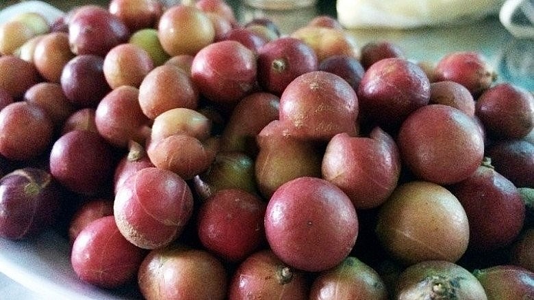 Da đá bình dị, mộc mạc và cứng cỏi