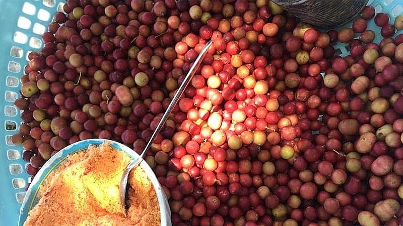 đặc sản của vùng đất Ninh Thuận nơi đây.