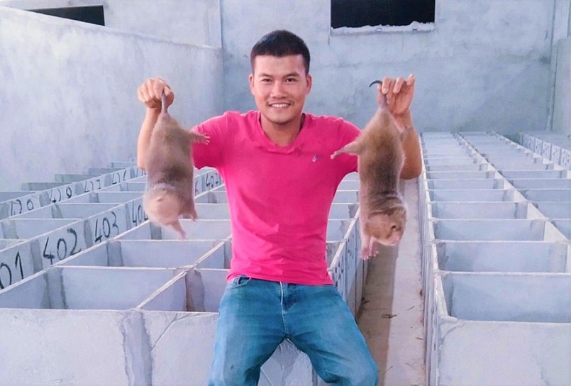 9x thuần hoá dúi rừng chỉ ăn tre không uống nước, thu lãi nửa tỷ đồng mỗi năm