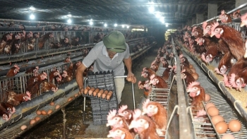 Sản phẩm chứa các chất độc hại, không đảm bảo chất lượng bị xử lý như thế nào?