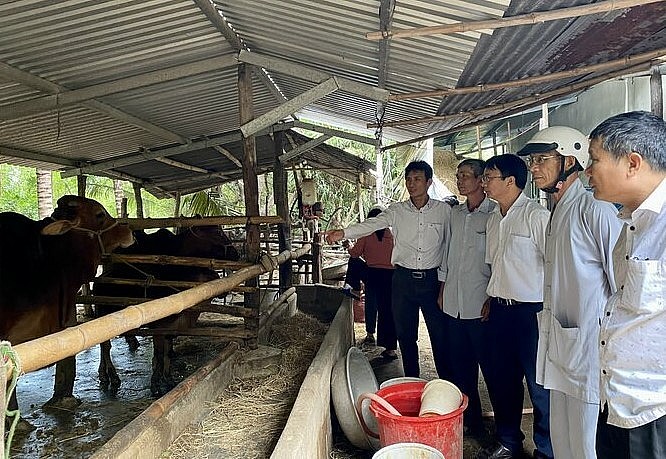 Nông dân tham quan mô hình. Ảnh: Nguyễn Cơ.