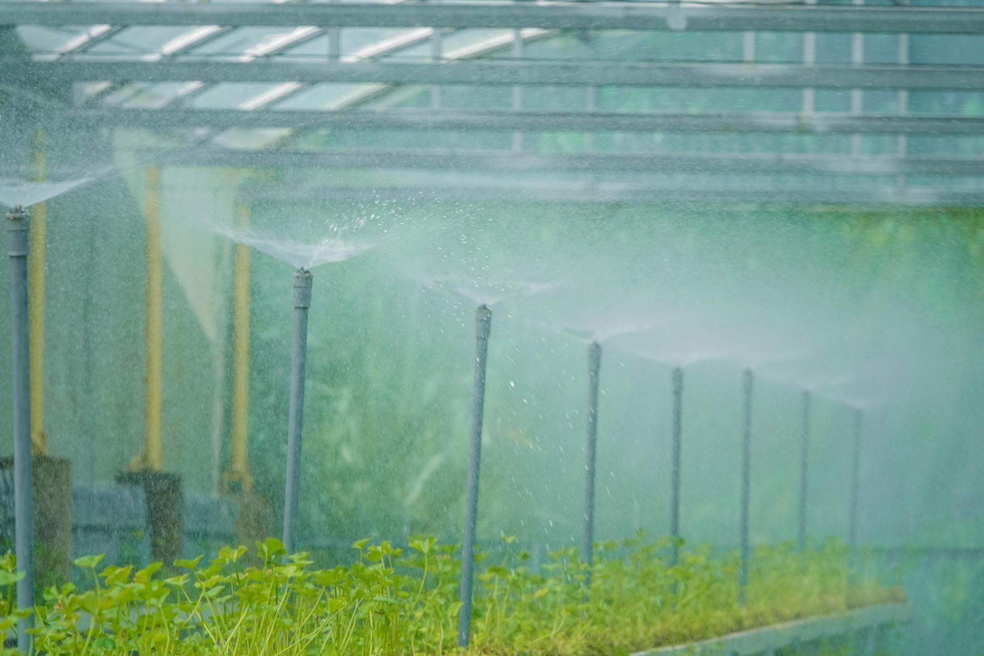 giàn thủy canh tưới tự động, giàn thủy canh tưới tự động,