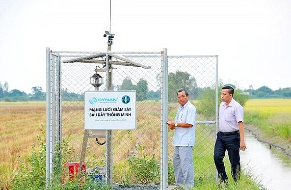 Nông dân ở Đồng Tháp ứng dụng máy giám sát sâu rầy thông minh. Ảnh: Lê Hoàng Vũ. Nông dân ở Đồng Tháp ứng dụng máy giám sát sâu rầy thông minh. Ảnh: Lê Hoàng Vũ.