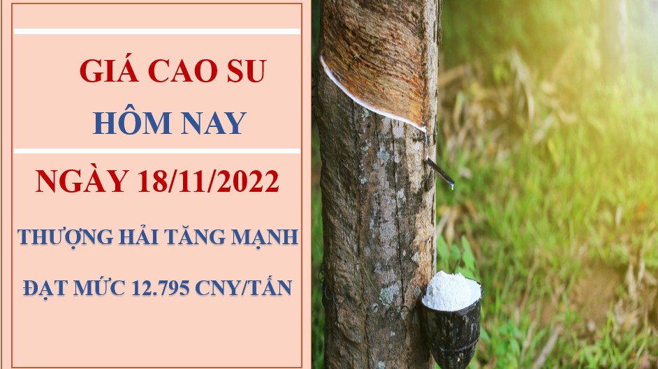 Giá cao su hôm nay 18/11/2022: Tăng mạnh tại hai sàn trọng điểm châu Á