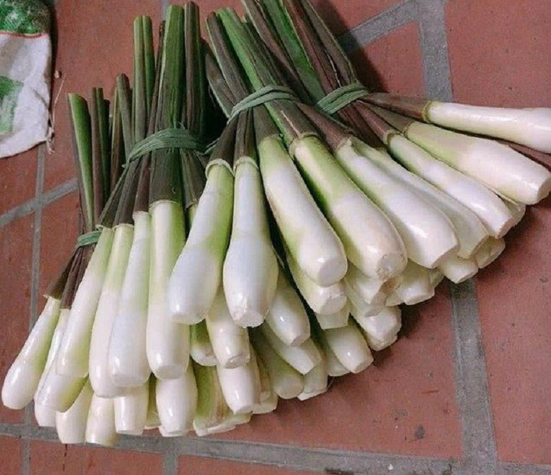 Loại củ mọc dại bờ ao, nay trở thành đặc sản cháy hàng liên tục