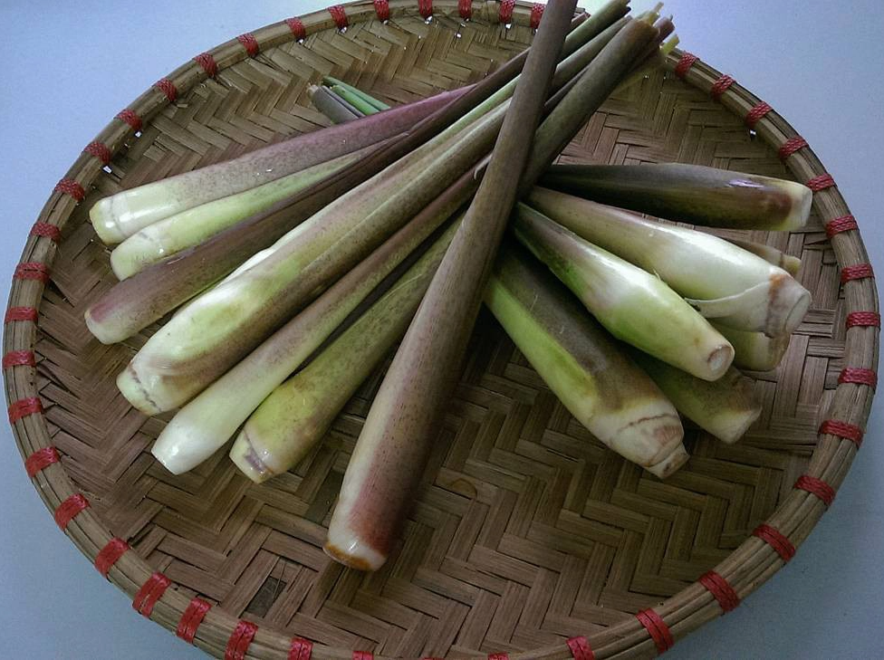 Loại củ mọc dại bờ ao, nay trở thành đặc sản cháy hàng liên tục